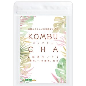 Комплекс для укрепления иммунитета и восстановления пищеварения SeedComs Kombucha Black Tea Mushroom & Yeast & Lactic Acid Bacteria