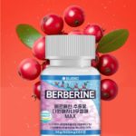 Bluebio Berberine Порошок экстракта плодов барбариса Dawon + 19   видов смеси молочнокислых бактерий на 60 дней